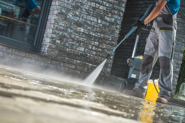 Animal Enclosure Cleaning in Ukiah, CA