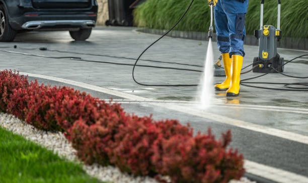 Best Gutter Cleaning  in Ukiah, CA